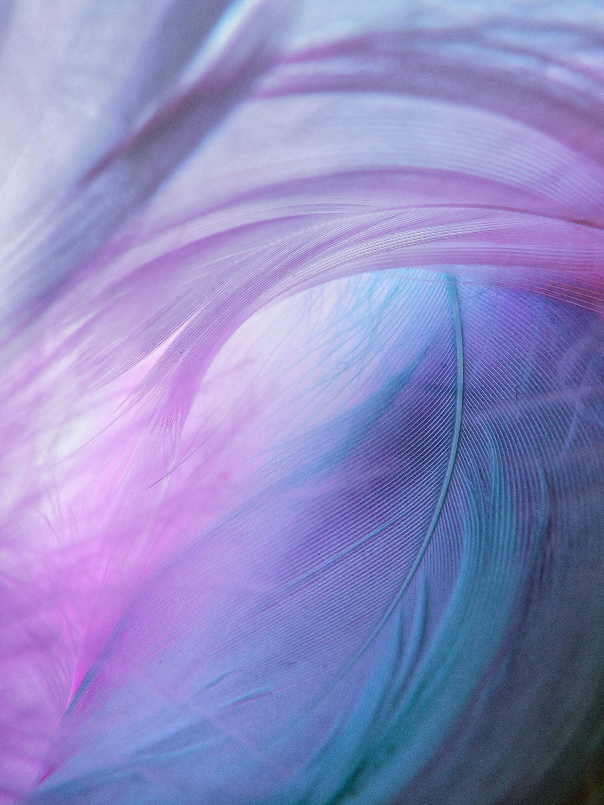 6e9ed6a77e133c1e67932aa19f88d33e583b1c92