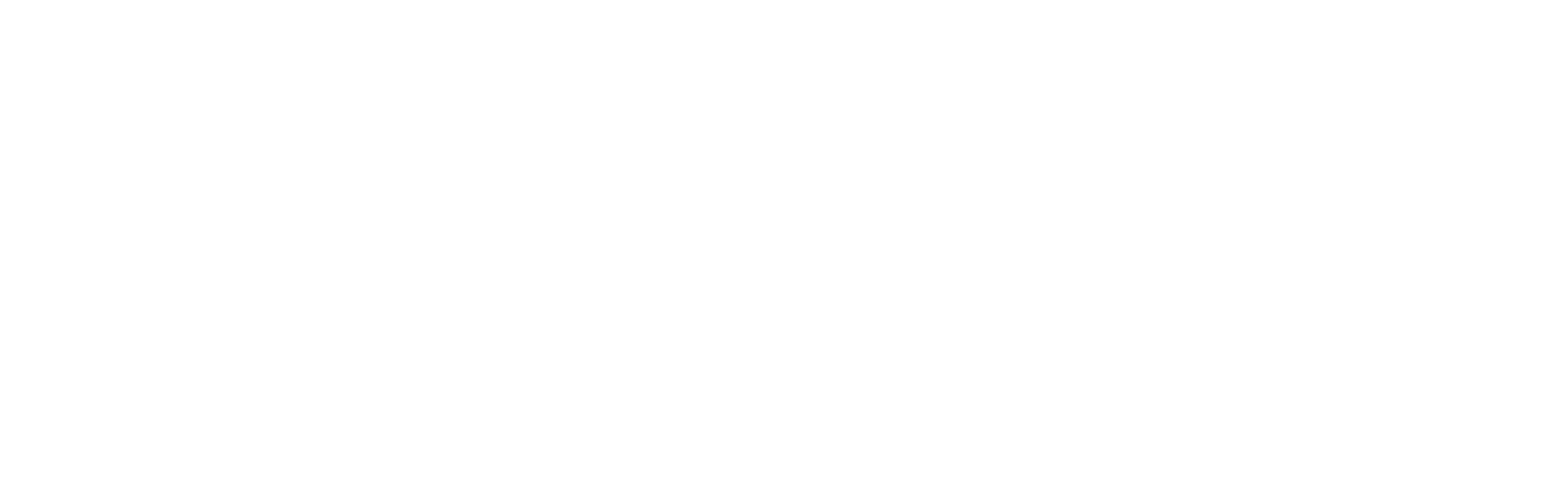 Allensbach_Hochscule_logo_white