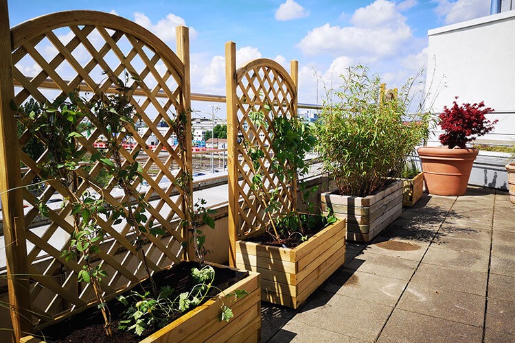Caritas_Begruenung-Dachterrasse (1)