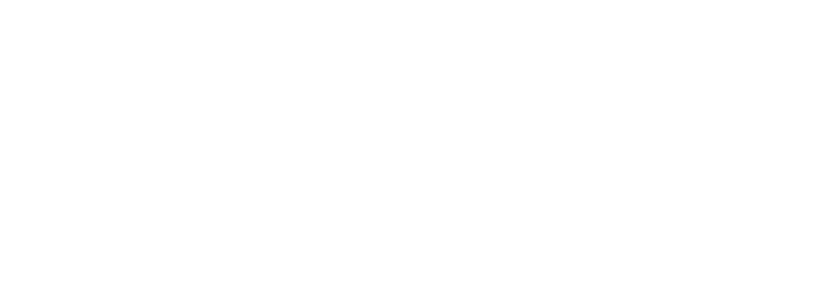 Logo_Universita╠êt_Speyer_white