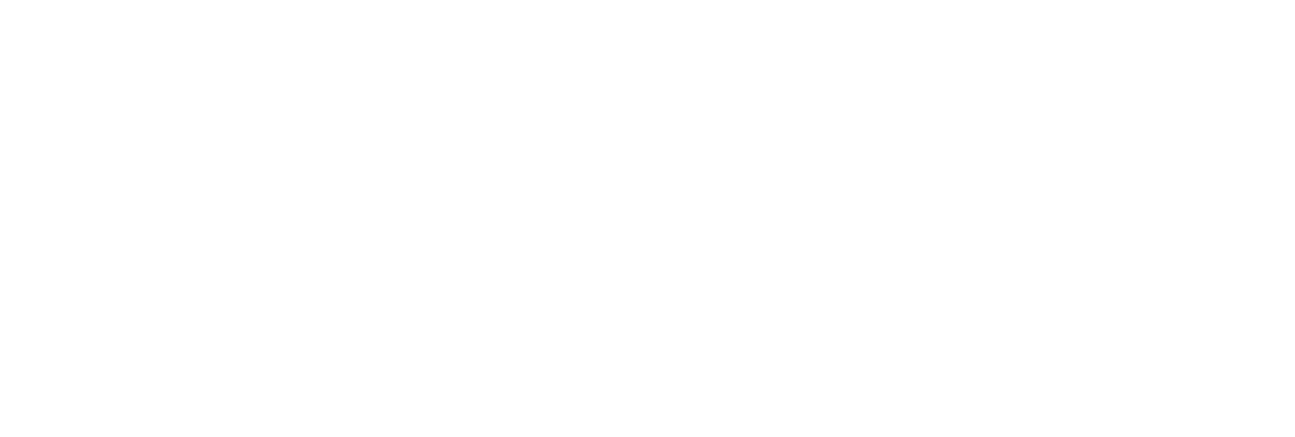 Steinbeis_Hochschule_Logo_white