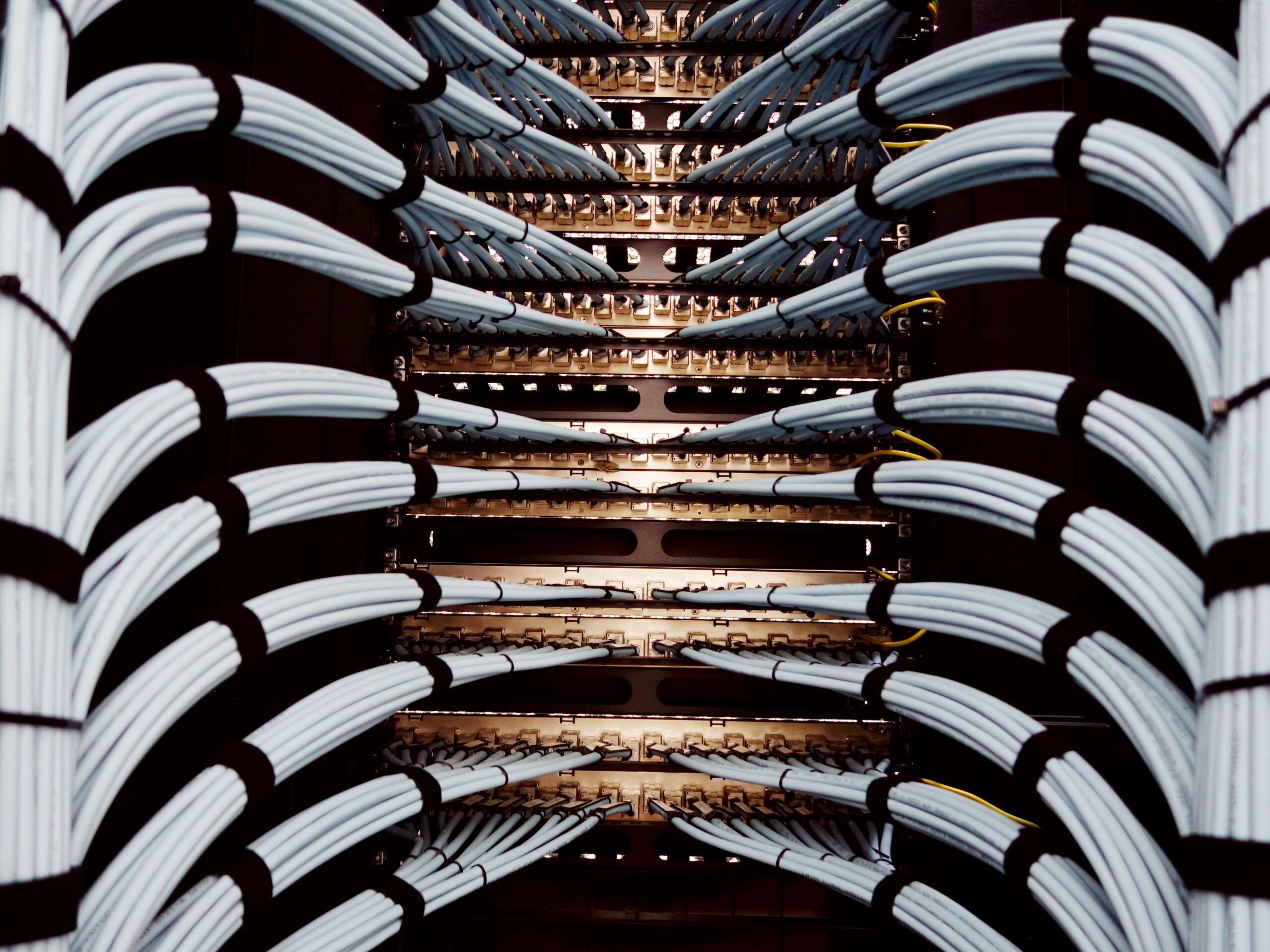 pexels-cookiecutter-19166565